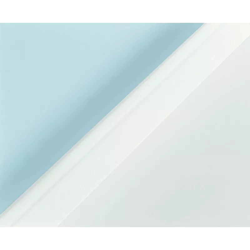 Leitz A4 Thermal Binding Cover Transparent 40 Sheets 80 g/m² for 177182, 17784 (177160)