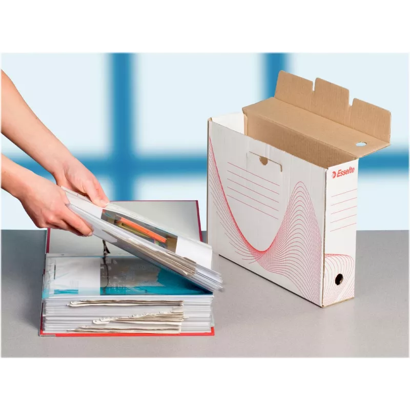 LEITZ Esselte Archive Box, 100 mm Spine, White Corrugated Cardboard with Pre-printed Lines for Organisation (128201)