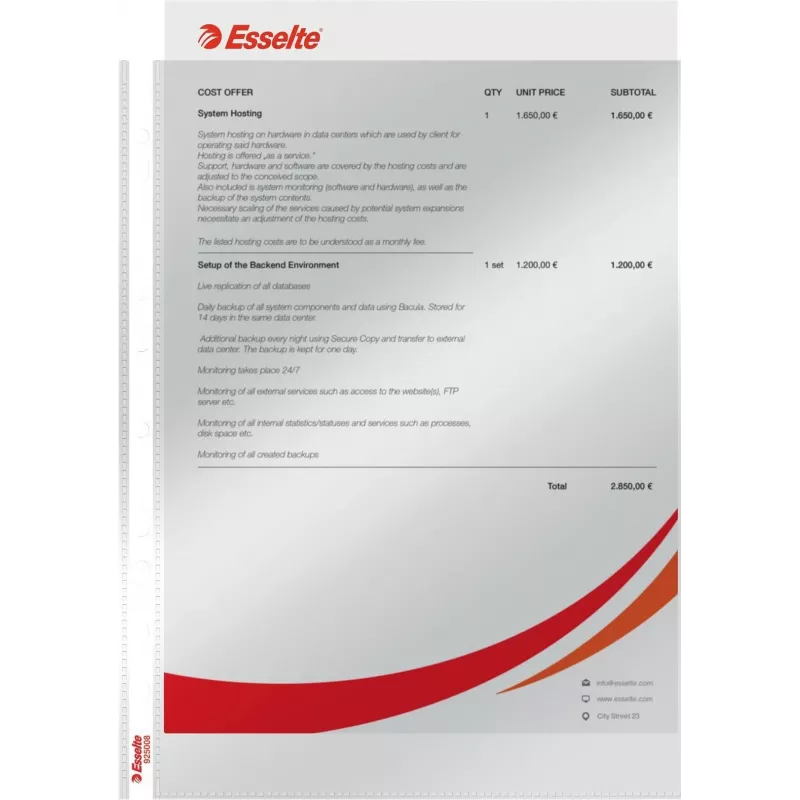 LEITZ Esselte Standard Document Sleeve A4, Polypropylene, Crystal Clear, 0.06 mm, Top Open, Document Safe, Multi-Punched, Reinforced Edge, Pack of 100 (925008)
