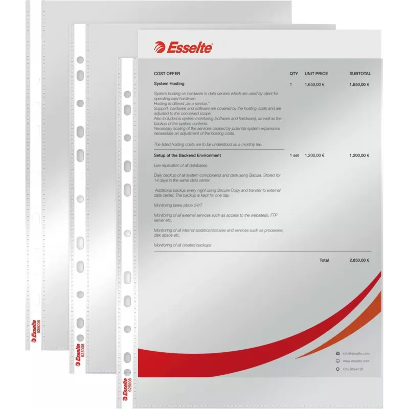 LEITZ Esselte Standard Document Sleeve A4, Polypropylene, Crystal Clear, 0.06 mm, Top Open, Document Safe, Multi-Punched, Reinforced Edge, Pack of 100 (925008)