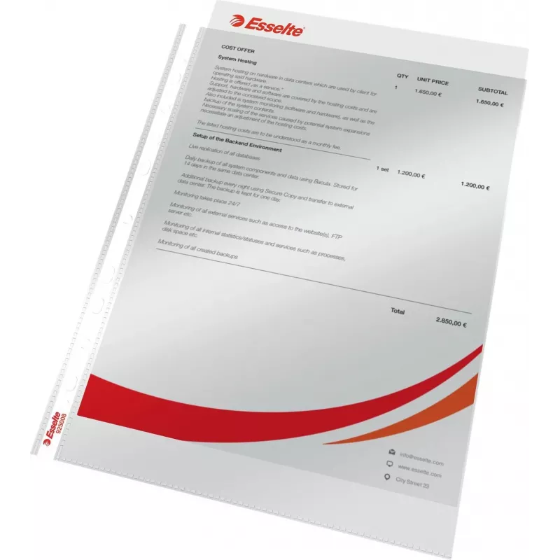 LEITZ Esselte Standard Document Sleeve A4, Polypropylene, Crystal Clear, 0.06 mm, Top Open, Document Safe, Multi-Punched, Reinforced Edge, Pack of 100 (925008)