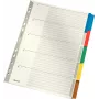 LEITZ Mylar Cardboard Index Dividers, Blank, A4, 5-Part, Grey Tabs, 160 gsm, with Writable Cover Sheet 4320-00-00
