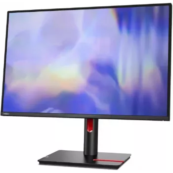 Lenovo T24D-30 24 inch IPS WUXGA Monitor - Black