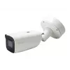LevelOne FCS-5095 Network Surveillance Camera - Outdoor, Indoor - Vandal-Proof