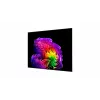 LG OLED83G61LW 83 inch OLED evo 4K Smart TV (webOS 23, α9 AI Processor Gen6, Dolby Vision/Atmos, 120Hz, G6 Gallery Design)