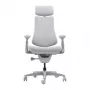 LiberNovo Omni Dynamic Ergonomic Office Chair, Grey, Mesh, 45 cm Seat Height, 3D Adjustable Armrests, 120 kg Capacity