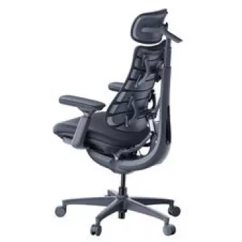 LiberNovo Omni Ergonomic Office Chair with Active Backrest and Massage Function, Black