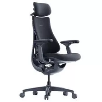 LiberNovo Omni Ergonomic Office Chair with Active Backrest and Massage Function, Black
