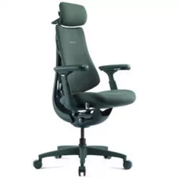 LiberNovo Omni Ergonomic Office Chair with Active Lumbar Support and Massage - Green