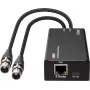LINDY 2ch XLR Audio to Dante Encoder, PoE, AES67, 24-bit/96kHz 70618