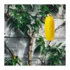 LogiLink LPS217 Outdoor Power Cord Protection Box, IP44, Yellow