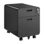 LOGILINK Mobile File Cabinet, 2-Drawer with Lock, Black