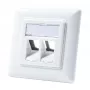 LogiLink NK4020 Keystone Wall Plate, Flush Mount, 2 Modules, Signal White