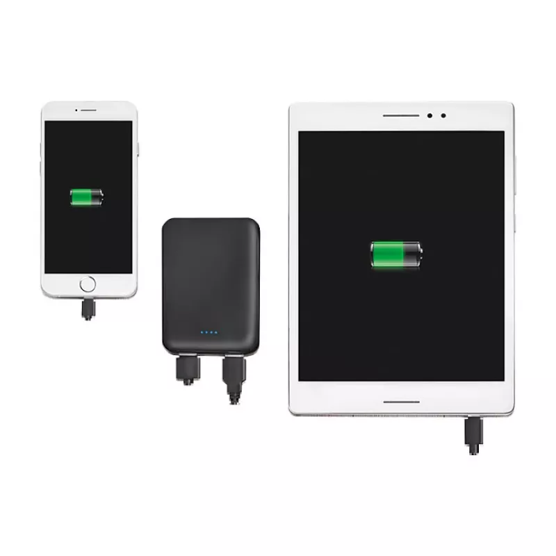 LogiLink PA0202 Power Bank 5000mAh Black