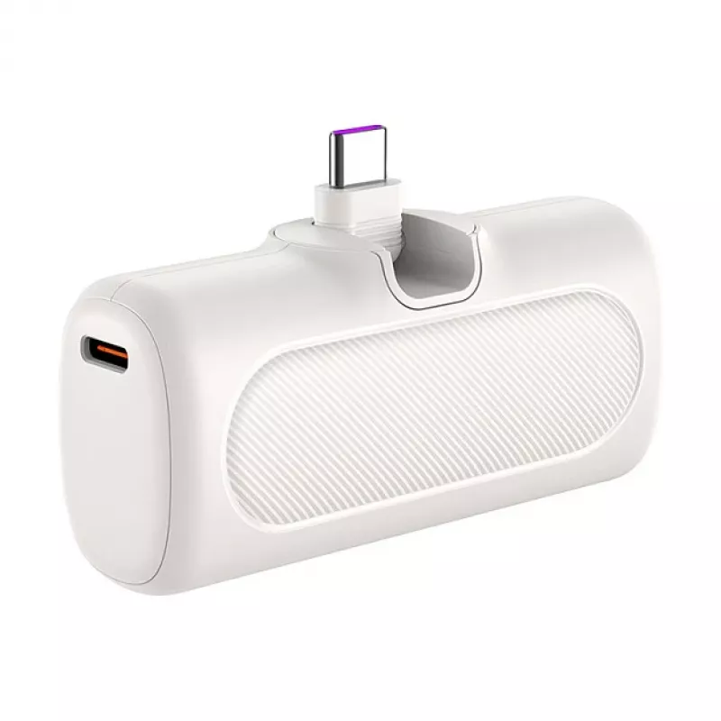 LogiLink PA0349W Mobile Power Bank, 5000 mAh, LiPo, Built-in Foldable USB-C Plug and USB-C Port, White