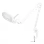 LogiLink WZ0058 LED Magnifying Lamp with Real Glass Lens 127 mm 5 Diopters White