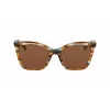 LONGCHAMP LO742S-N-211 Women's Square Acetate Sunglasses Havana Brown Gradient 54mm