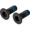 Lucky Scooter Brake Bolts - M6 x 20mm Hex Socket Cap, Black Oxide, 2-Pack