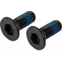 Lucky Scooter Brake Bolts - M6 x 20mm Hex Socket Cap, Black Oxide, 2-Pack