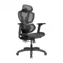 LUMIVIDA PREMIUM Ergonomic Office Chair with Head and Lumbar Support, 3D Adjustable Armrests - Black