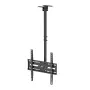 MACLEAN MC-175 Ceiling Mount for 37–75 inch TVs, 50 kg, VESA 400x400, Black