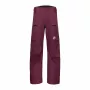 Mammut Stoney HS Men's Waterproof Pants Vin