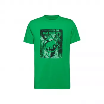 Mammut Trovat Men's T-Shirt Pinea