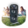 Manta SPK815 Portable Bluetooth Party Speaker with Karaoke, 30W RMS, Disco LED, FM Radio, USB/SD/AUX