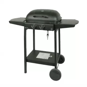 MASTER GRILL Master Gas Grill 2-Burner MG672