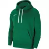Men's Nike Team Club 20 Hoodie Pine Green CW6894 302