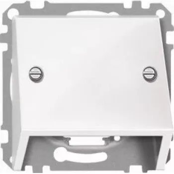 Merten 464619 Central Plate for TAE Insert, Polar White
