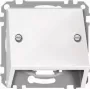 Merten 464619 Central Plate for TAE Insert, Polar White