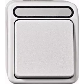 Merten Aquastar 2-Pole Control Switch with Indicator Light, Light Grey MEG3102-8029