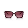 Michael Kors Women's Butterfly Sunglasses MK2174U33448H Dark Tortoise Brown Gradient 55mm