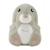 Momini Compressor Nebuliser NebuBunny