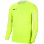 Nike Dry Park IV JSY LS GK Lime Goalkeeper Sweatshirt CJ6066 702 L