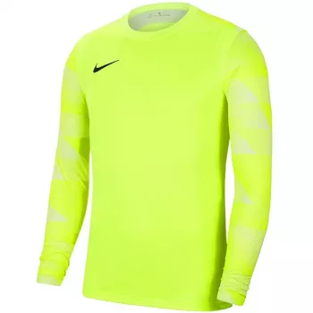 Nike Dry Park IV JSY LS GK Lime Goalkeeper Sweatshirt CJ6066 702 S
