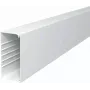 OBO BETTERMANN WDK80170RW Wall and Ceiling Cable Duct 80x170x2000mm PVC Pure White RAL 9010 6191304