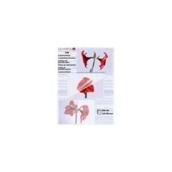 Olympia 9178 Laminating Pouches A6 Transparent 100 Pieces 80 Micron