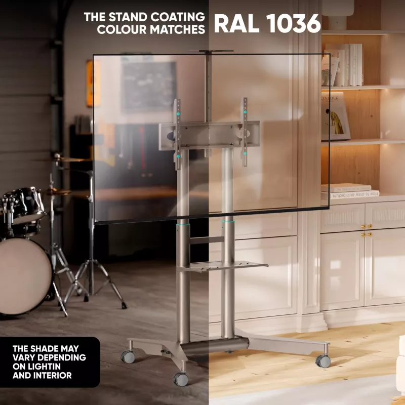 ONKRON TS1571-C Mobile TV Stand with AV Shelf for 32-75 inch Screens, Champagne