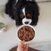 Paka Zwierzaka Pepe Deer Wet Dog Food 400g