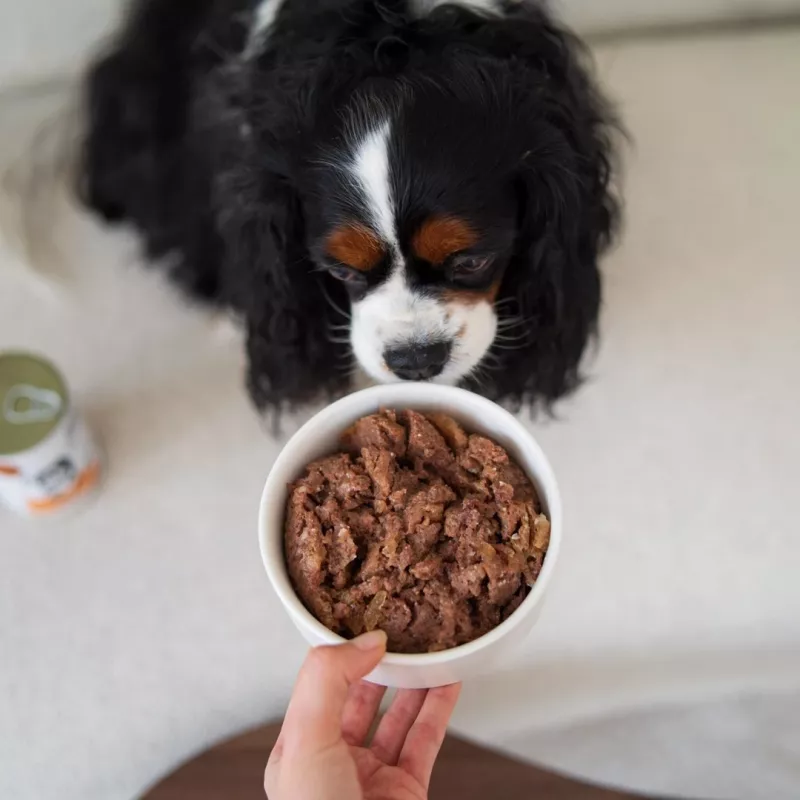 Paka Zwierzaka Pepe Deer Wet Dog Food 400g