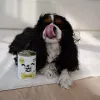 Paka Zwierzaka Pepe Turkey Wet Dog Food 400g