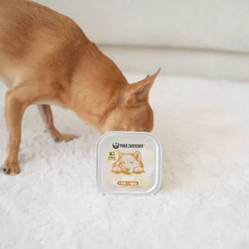 PAKA ZWIERZAKA Rabbit and Boar with Pumpkin - Grain-Free Wet Dog Food - 150g Pouch