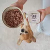 PAKA ZWIERZAKA Turkey and Cranberries Wet Dog Food – Grain-Free, 150 g Pouch