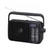 Panasonic RF-2400DEG-K Portable Analog AM/FM Radio - Black