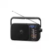 Panasonic RF-2400DEG-K Portable Analog AM/FM Radio - Black