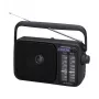Panasonic RF-2400DEG-K Portable Analog AM/FM Radio - Black