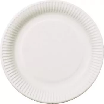 PAPSTAR pure Disposable Plate Round 26 cm Extra Strong White Sugarcane Bagasse 50 Pieces 11176