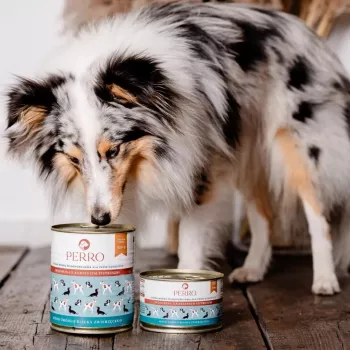 PERRO Beef with Parsley Root Wet Dog Food 850g